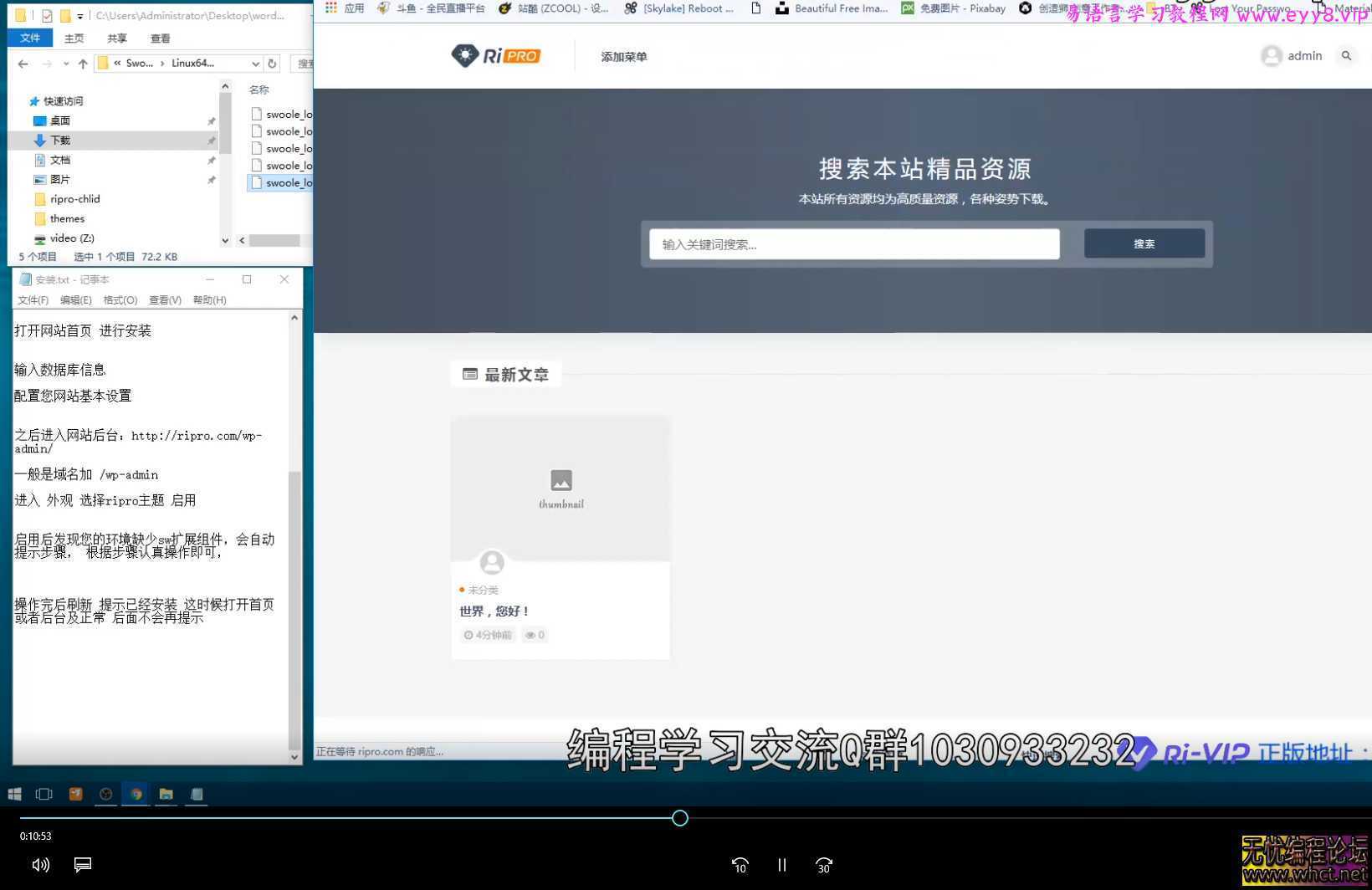 1分钟wordpress建站与使用RiPro主题设置教程  4389 无忧技术吧www.92wuyou.cn