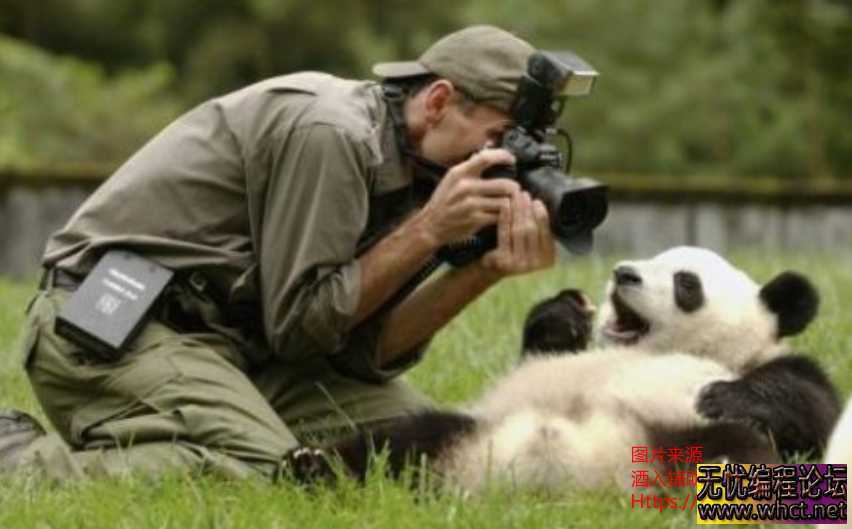 价值几千的职业摄影师零基础到高手教程~  9472 无忧技术吧www.92wuyou.cn