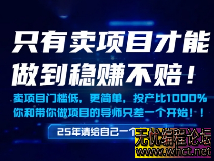 网创新逻辑：卖项目稳挣不赔的「铲子理论」实战指南  7308 无忧技术吧www.92wuyou.cn