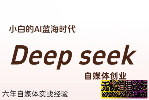 冰冰老师·普通人如何利用Deepseek创业  8962 无忧技术吧www.92wuyou.cn